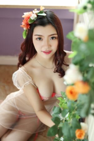 动漫入口
