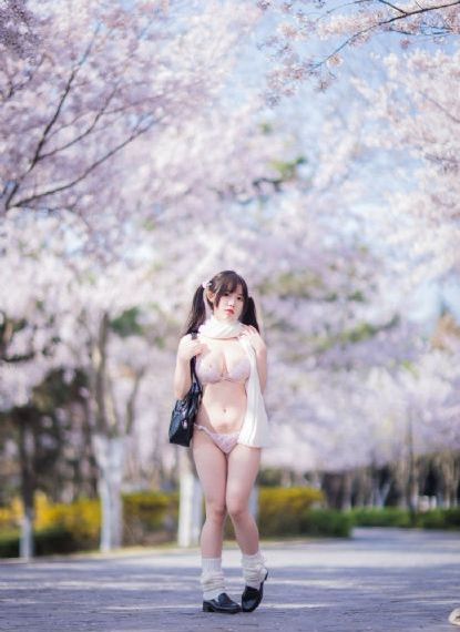 枫树湾