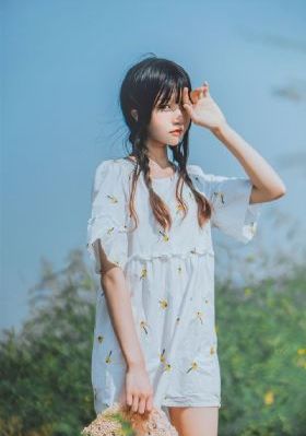 电视剧《蝶影》免费观看