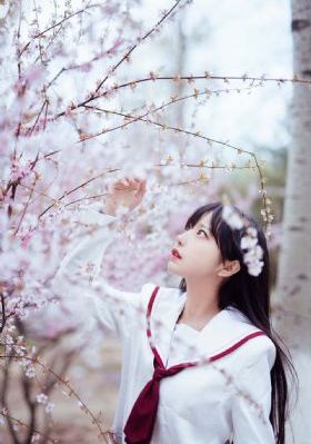 灯草和尚电影