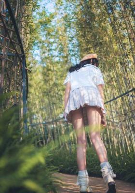 白色橄榄树电视剧完整版免费观看